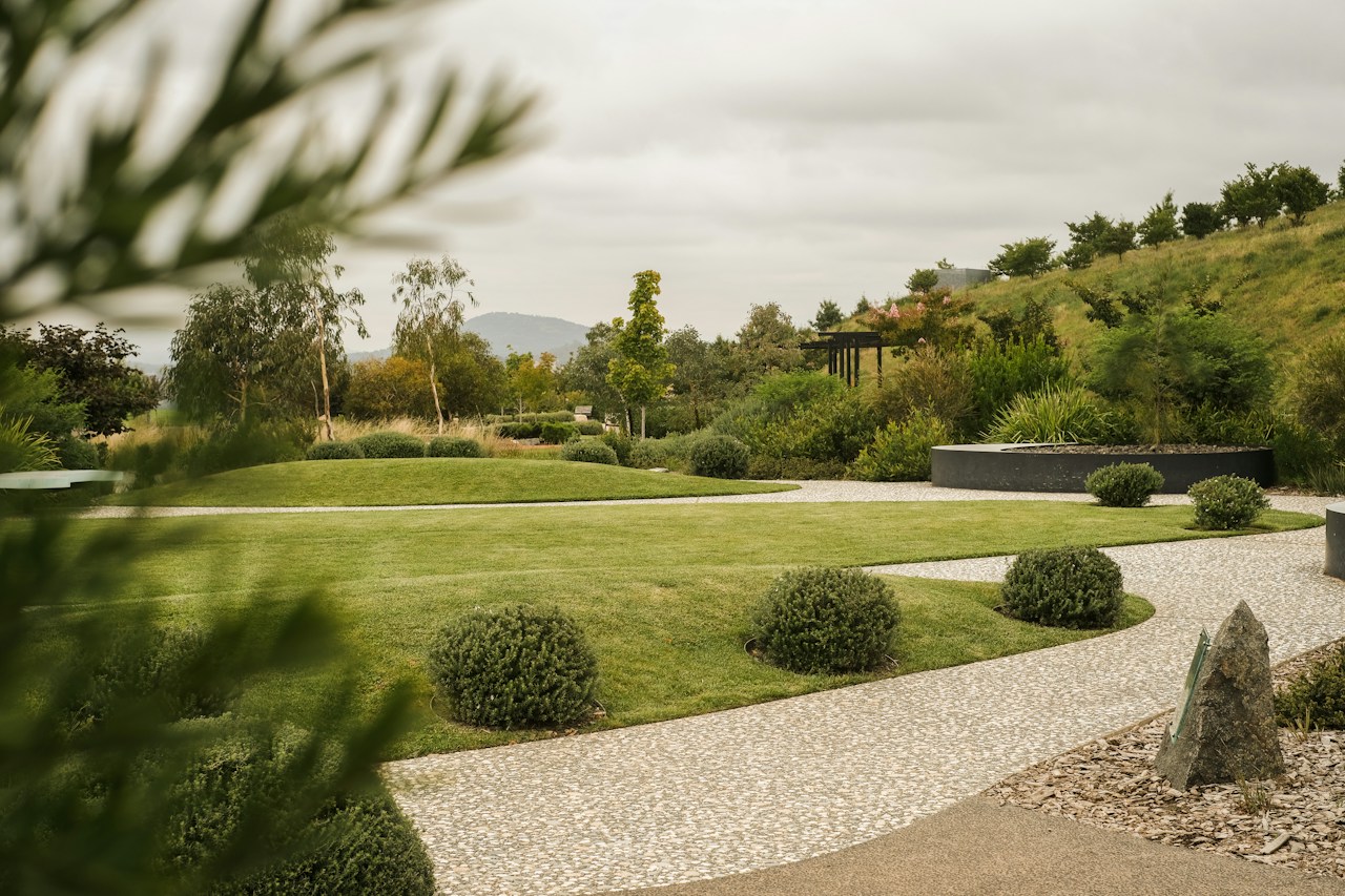 A landscaped garden with a curved path, lawn and carefully shaped planting.